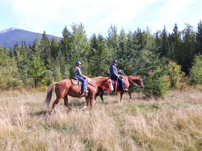 Two riders on horseback crossing a grassy meadow