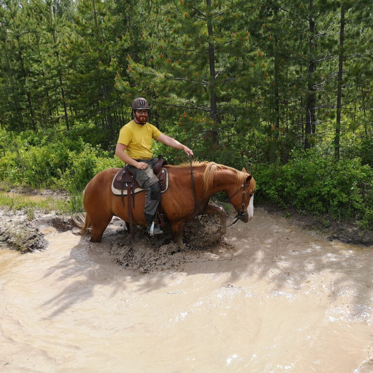 Rider on a chestnut horse crossing a muddy creek