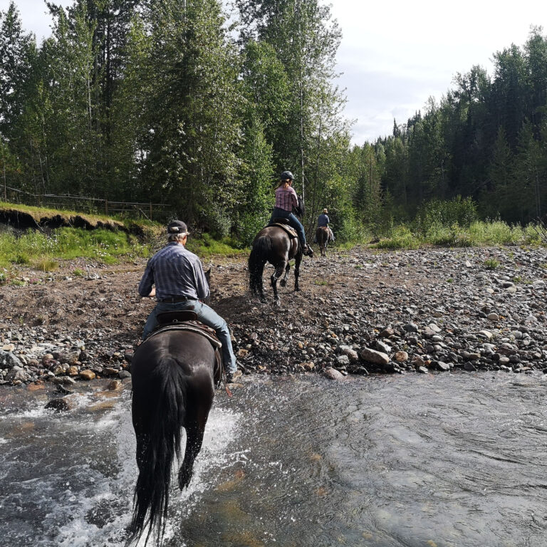 Riders on horseback crossing a river onto a gravel bar