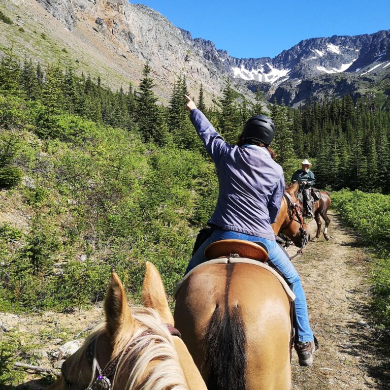 Rider on horseback pointing toward snowy mountain peaks