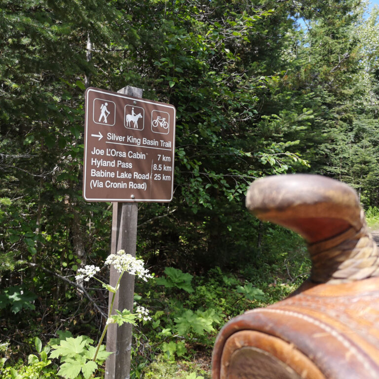 Trail sign on a post beside a saddle horn