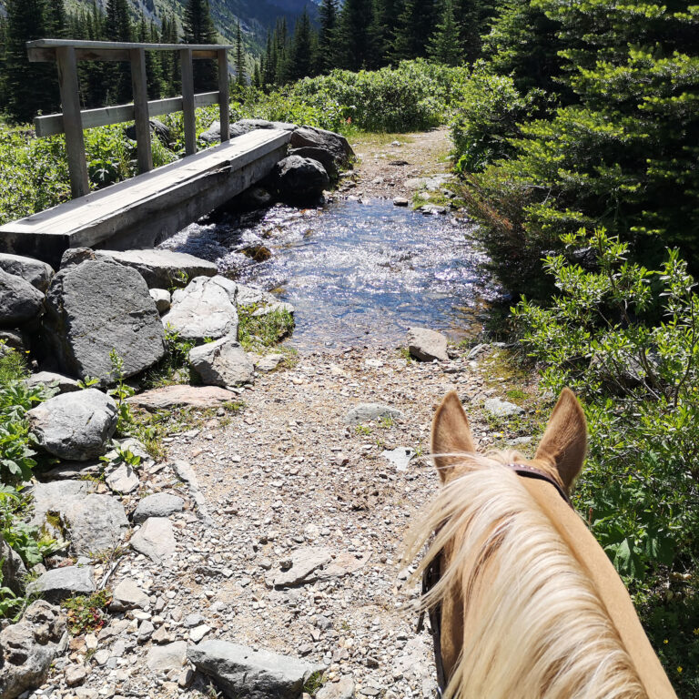 View from horseback of a rocky creek crossing beside a small bridge