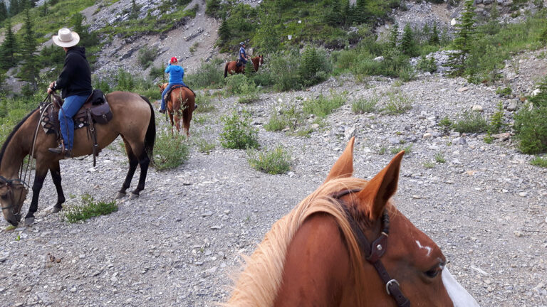 View from horseback of riders on a rocky trail