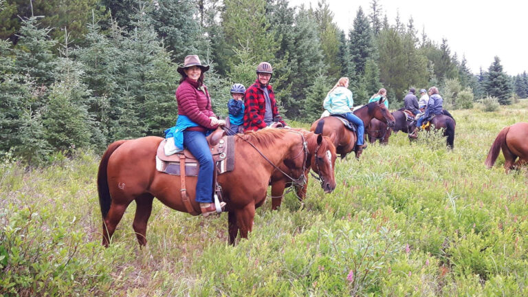 Line of riders on horseback in a green meadow