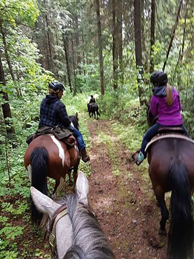 Riders on horseback following a narrow trail through the woods