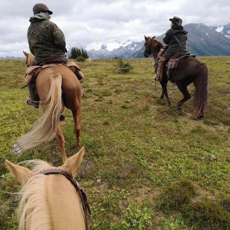 Riders on horseback in a high meadow with mountains behind