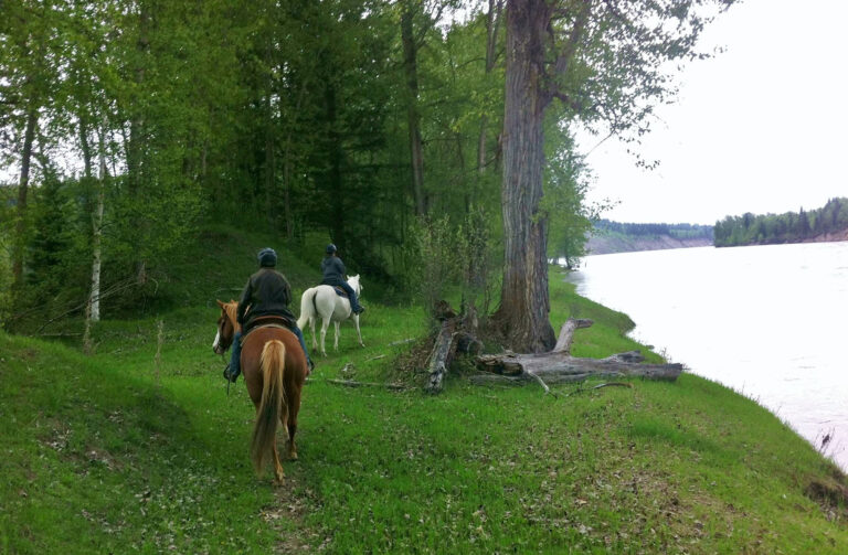 Riders on horseback on a grassy lakeside trail