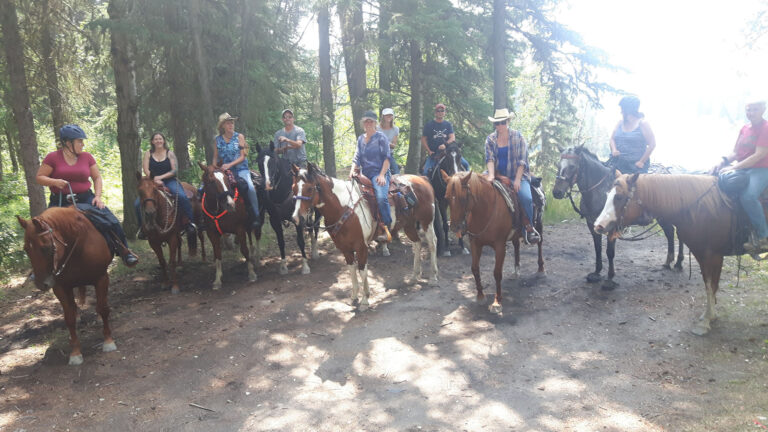 Group of riders on horseback on a sunny forest trail