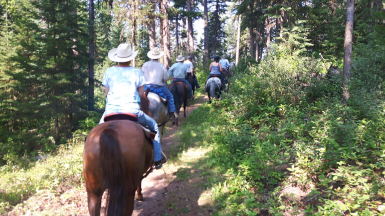 Riders on horseback on a narrow trail through the forest