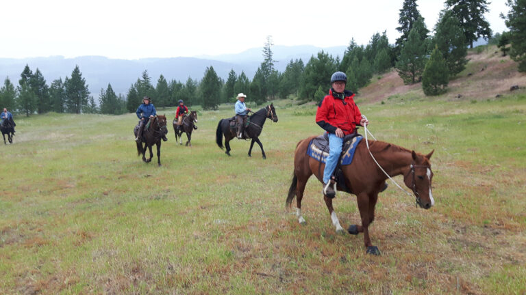 Riders on horseback crossing a meadow at the edge of the forest