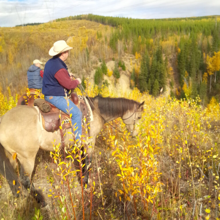 Rider in a cowboy hat on horseback among golden autumn aspens