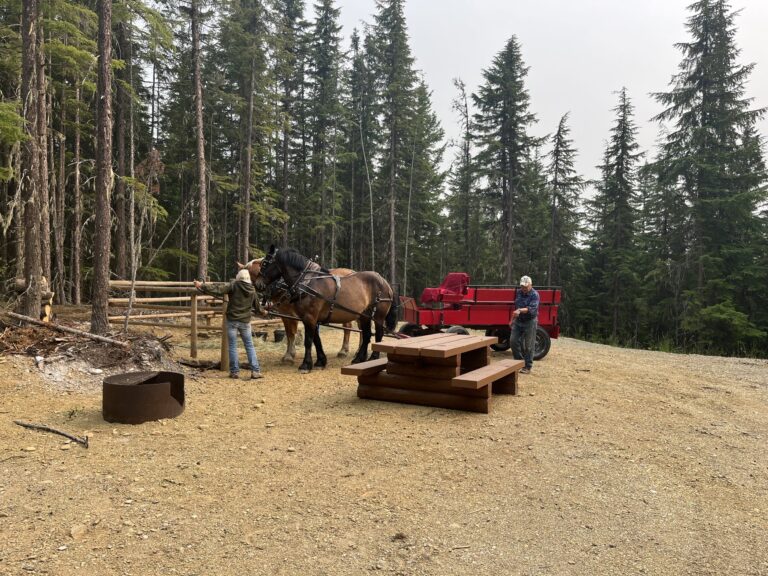 Horses tied near picnic tables at the MacIntosh Falls campground