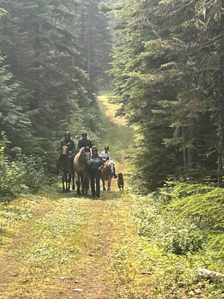 Riders and horses on a grassy forest road