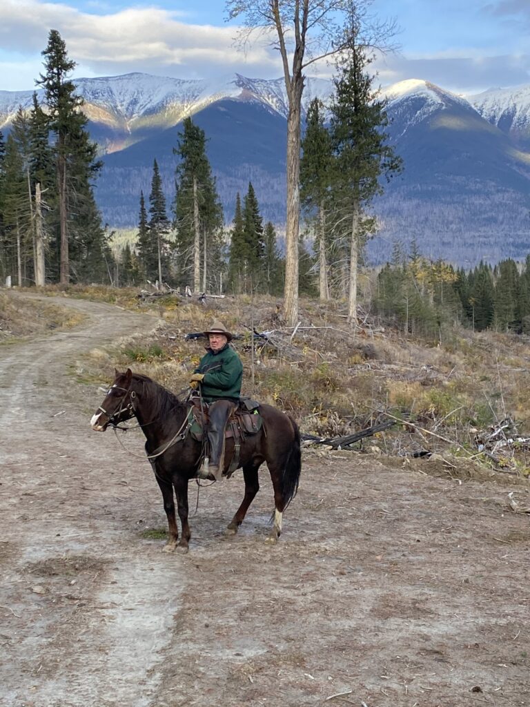 Rider on horseback on a gravel road with snowy peaks behind