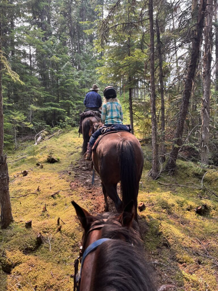 View from horseback of riders on a narrow forest trail