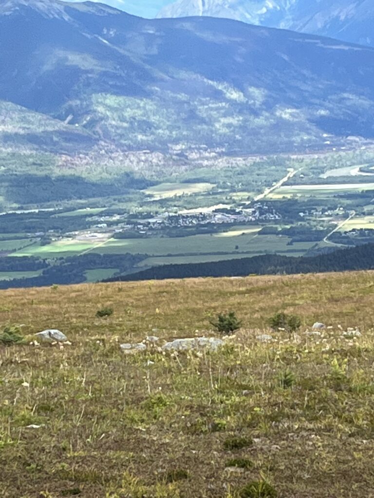 Valley view from a high grassy ridge