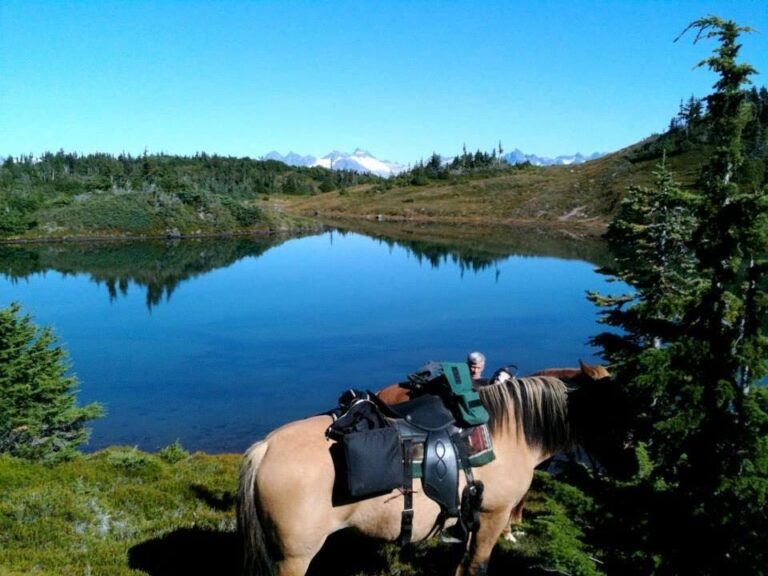 Saddled horse beside a clear alpine lake