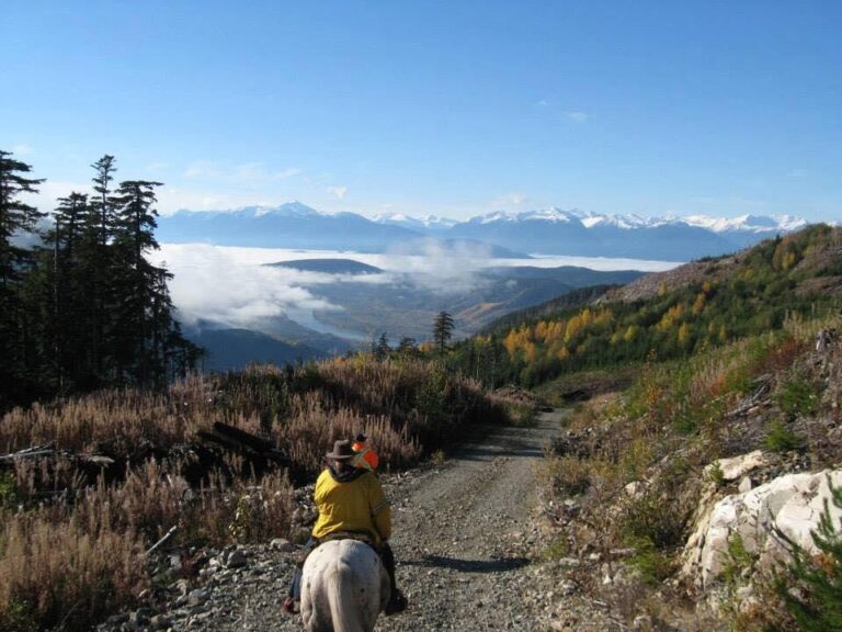Rider on a dirt road above clouds filling the valley below