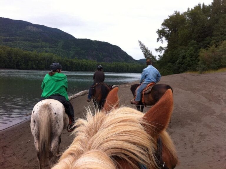 Riders on horseback on a beach at the edge of the water