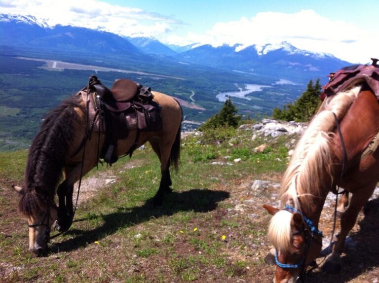 Saddled horses grazing on a ridge above a mountain valley