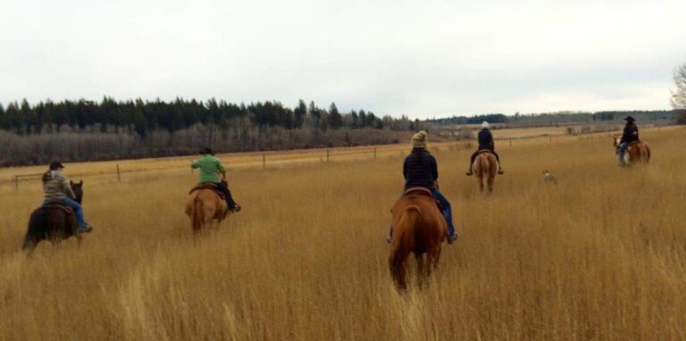 Group of riders crossing golden grassland in the Cariboo