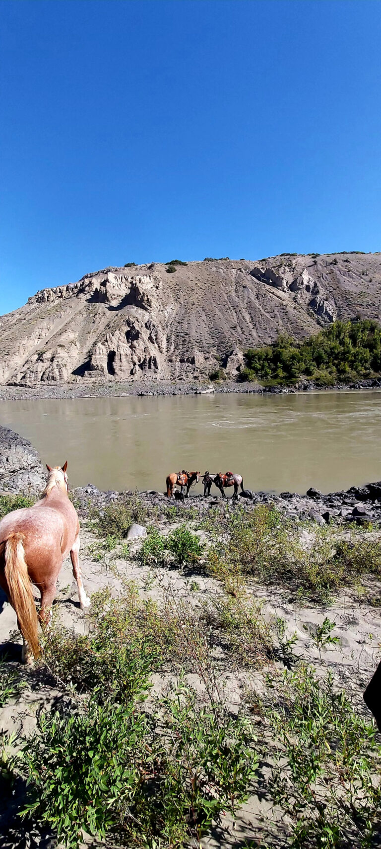 Horse below a rocky cliff and a lake in the Cariboo