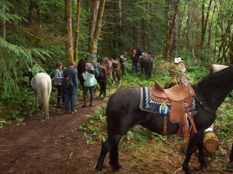 Riders and saddled horses resting on a forest trail