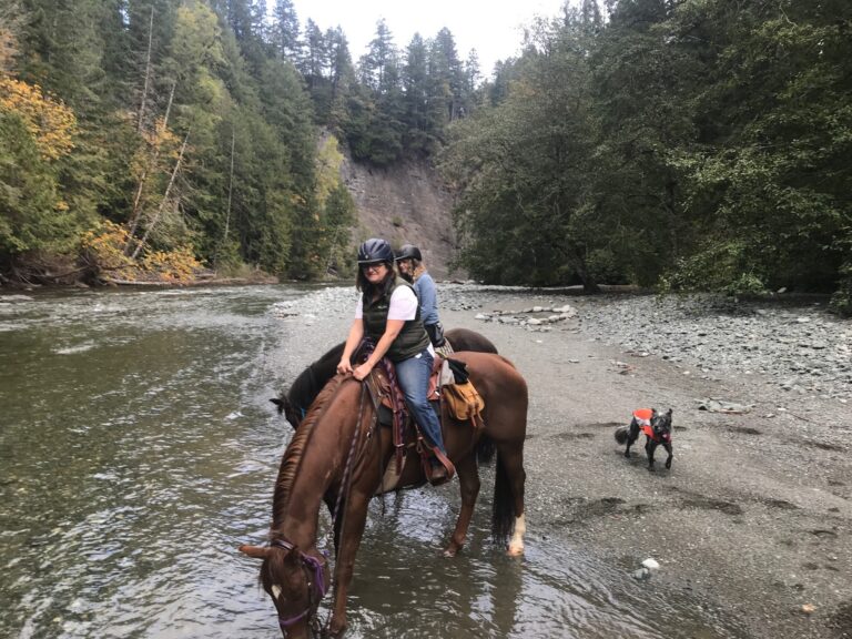 Rider and dog crossing a river on a gravel bar