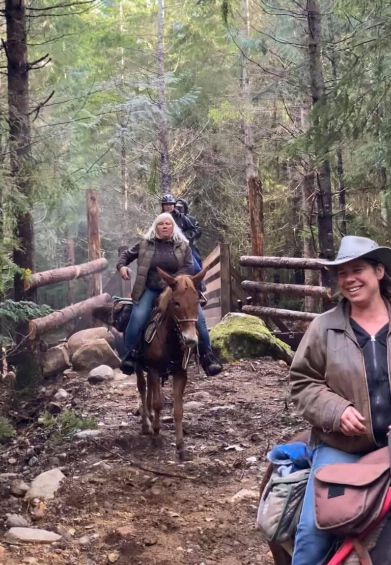 Yarrow Chapter rider on horseback beside a newly built trail structure in the forest