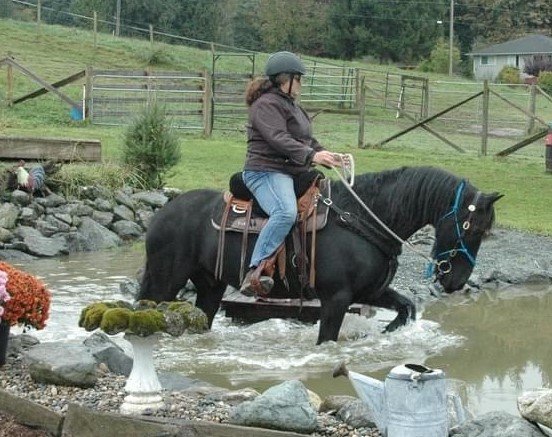 Claudia Zamprogno, BCHBC Vice President, riding a horse through a creek