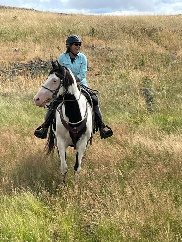 Karen Bridge, BCHBC Vice President, riding a paint horse in a grassy field