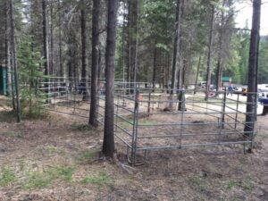 New horse pens among the pines at Trapping Creek camp