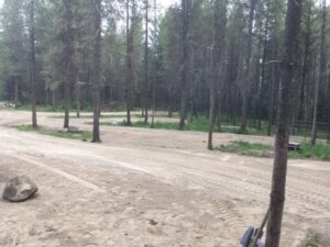 Levelled campsites among the pines at Trapping Creek camp