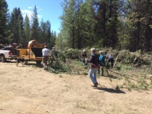 Volunteers chipping brush during the Trapping Creek camp expansion