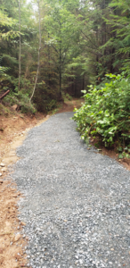 Smooth gravel surface on the Spruce Loop Trail after upgrades
