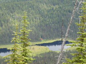 Forested valley and lake seen from the Belle Mountain trail