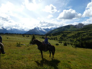 Rider on horseback silhouetted in an alpine meadow