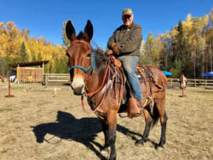 Rider on a mule in the arena at Coalmine Camp with autumn trees behind
