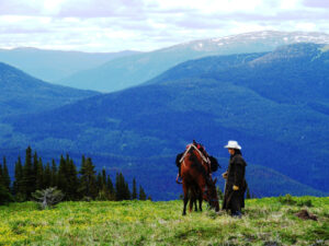 Rider and horse on a ridge overlooking a wide mountain valley