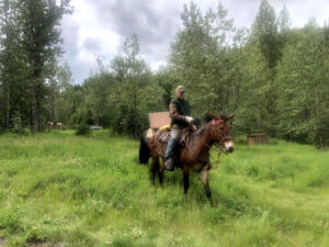 Rider leading a pack horse through a green meadow