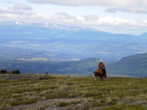 Horse on a high ridge overlooking the Bulkley Valley