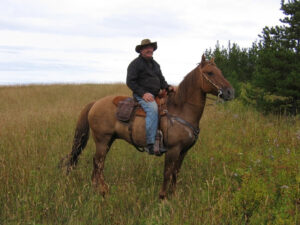Rider in a cowboy hat on horseback in a tall grass meadow