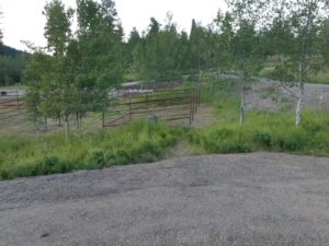 Campsite with corrals among young aspens in the Kane Valley