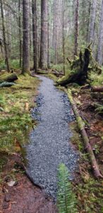 Gravelled section of the Pickles Road Trail after rehabilitation