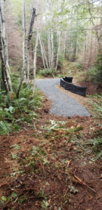 Resurfaced gravel section of the Spruce Loop Trail after upgrades