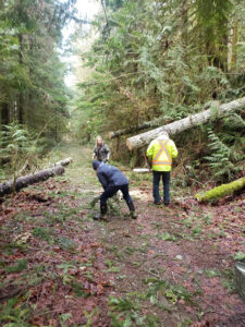 Volunteers clearing fallen trees from the Log Train Trail