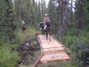 Rider on horseback crossing a new wooden trail bridge in Mount Robson Provincial Park