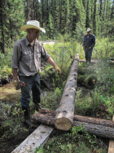 Volunteers building a log crossing on a wet section of trail