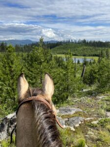 View between a horse's ears over forest and a lake on the Skull Mountain trails