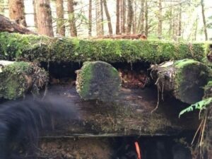 The old, failing Nesakwatch Creek bridge before replacement